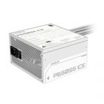 GIGABYTE GP-P650SS ICE