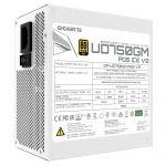 GIGABYTE GP-UD750GM PG5 ICE