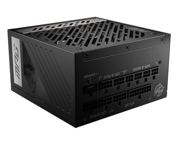 MSI MPGA1000GPCIE5