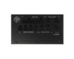 MSI MPGA1000GPCIE5