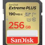 Κάρτα Μνήμης SDXC 256GB UHS-I U3 V30 190MB/s SDSDXWV-256G-GNCIN SANDISK