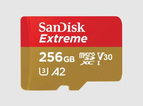 Κάρτα Μνήμης microSDXC 256GB UHS-I V30 160MB/s SDSQXAV-256G-GN6MA SanDisk