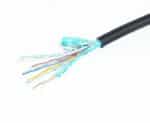 Καλώδιο HDMI σε DVI Αρσενικό/Αρσενικό 0,5 m CC-HDMI-DVI-0.5M GEMBIRD - Image 3