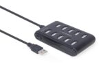 USB Hub 10 Θυρών USB 2.0 με Τροφοδοσία DC UHB-U2P10P-01 GEMBIRD - Image 3