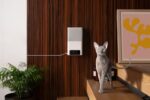 Κάμερα για Κατοικίδια με Ασύρματη Σύνδεση WLAN και Μικρόφωνο Bites 2 Lite BL10US PETCUBE - Image 5