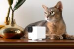 Κάμερα Εσωτερικού Χώρου Wi-Fi 360° CAM 360 P36010US PETCUBE - Image 6