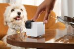 Κάμερα Εσωτερικού Χώρου Wi-Fi 360° CAM 360 P36010US PETCUBE - Image 5