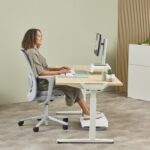 FELLOWES 100142578