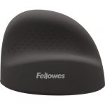 FELLOWES 100143579