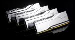 G.SKILL F5-6000J2836G16GX2-TR5NS