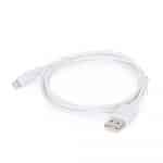 GEMBIRD CC-USB2-AMLM-W-1M