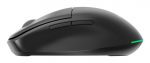 GEMBIRD MUSW2-6B-01