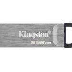 KINGSTON DTKN/256GB