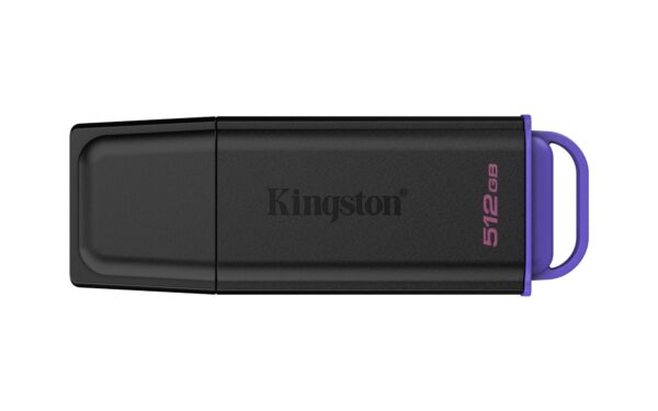 KINGSTON DTXG2/512GB