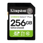 KINGSTON SDS3/256GB