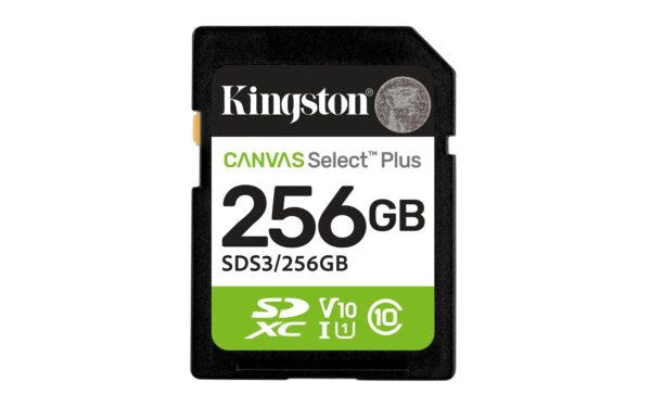 KINGSTON SDS3/256GB
