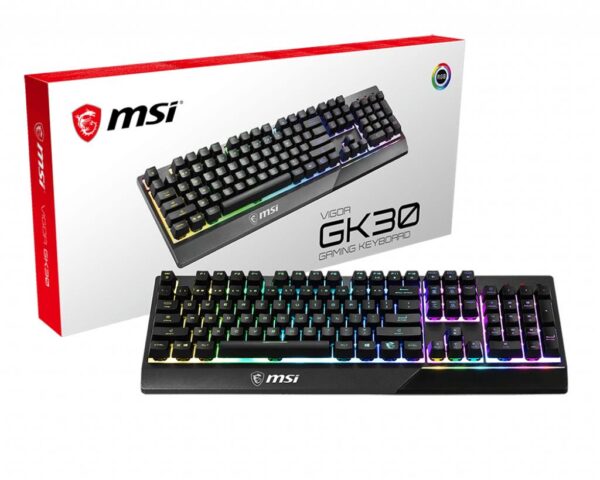 MSI VIGORGK30US