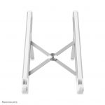 NEOMOUNTS NSLS010