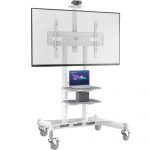 ONKRON TS1881-W