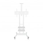 ONKRON TS1881-W