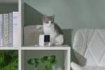PETCUBE CC10US