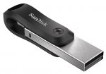 SANDISK SDIX60N-064G-GN6NN