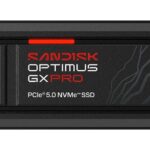 SANDISK SDSP82100TAH-000E0