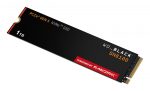 SANDISK WDS100T1X0M