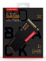 SANDISK WDS100T1X0M