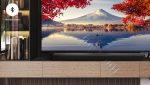 TCL S55HE