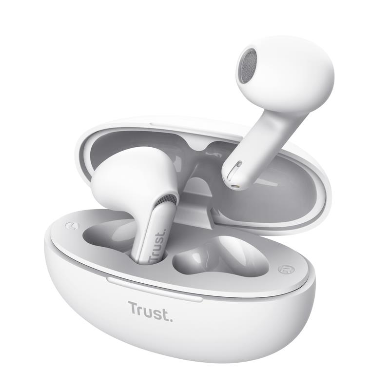 TRUST 25173 TRUST 25173